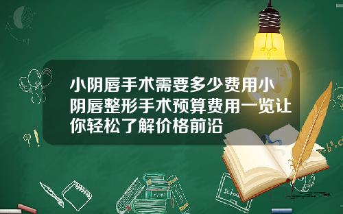 小阴唇手术需要多少费用小阴唇整形手术预算费用一览让你轻松了解价格前沿