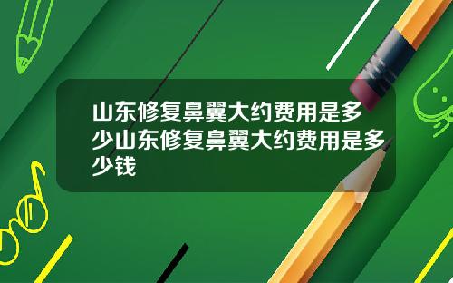 山东修复鼻翼大约费用是多少山东修复鼻翼大约费用是多少钱