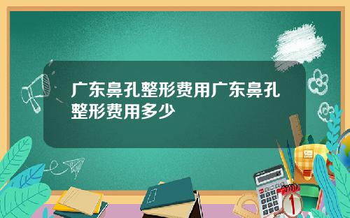 广东鼻孔整形费用广东鼻孔整形费用多少
