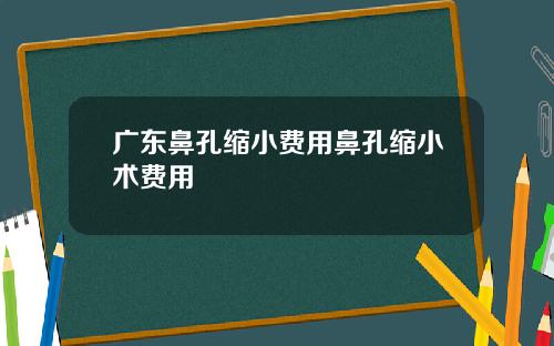 广东鼻孔缩小费用鼻孔缩小术费用