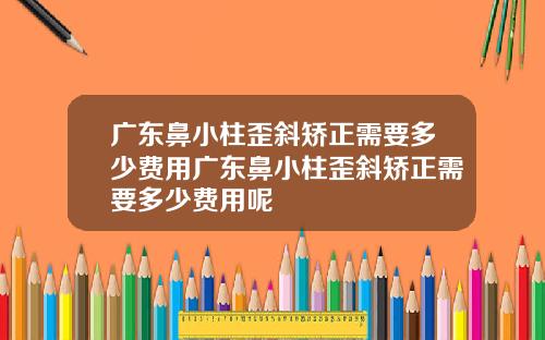 广东鼻小柱歪斜矫正需要多少费用广东鼻小柱歪斜矫正需要多少费用呢