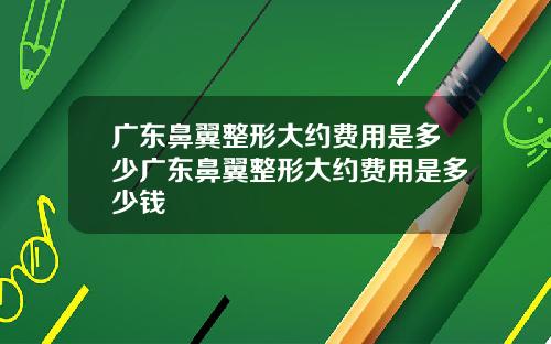 广东鼻翼整形大约费用是多少广东鼻翼整形大约费用是多少钱