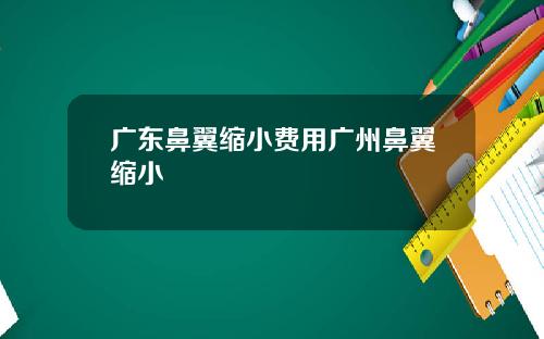 广东鼻翼缩小费用广州鼻翼缩小