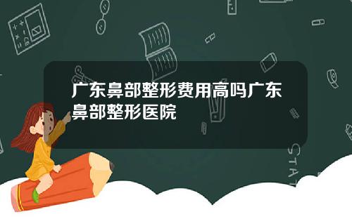 广东鼻部整形费用高吗广东鼻部整形医院