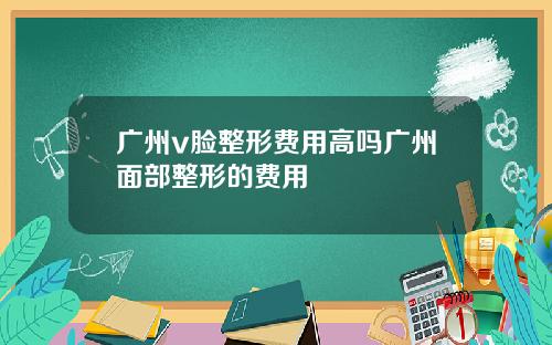 广州v脸整形费用高吗广州面部整形的费用