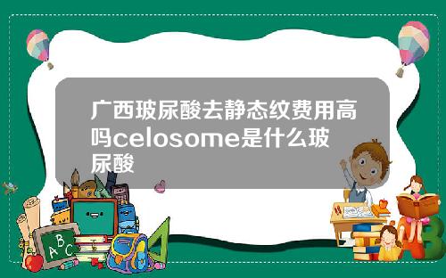广西玻尿酸去静态纹费用高吗celosome是什么玻尿酸