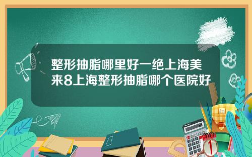 整形抽脂哪里好一绝上海美来8上海整形抽脂哪个医院好