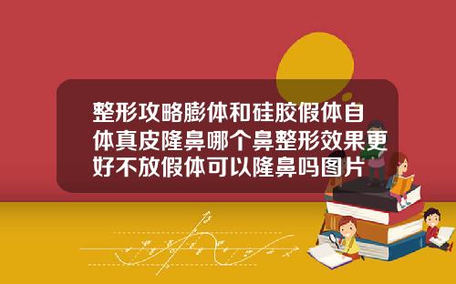 整形攻略膨体和硅胶假体自体真皮隆鼻哪个鼻整形效果更好不放假体可以隆鼻吗图片