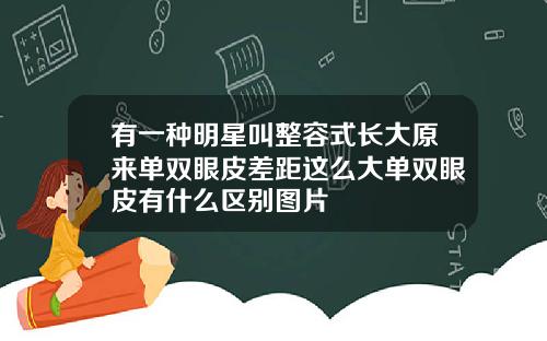 有一种明星叫整容式长大原来单双眼皮差距这么大单双眼皮有什么区别图片