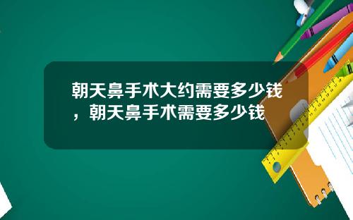 朝天鼻手术大约需要多少钱，朝天鼻手术需要多少钱