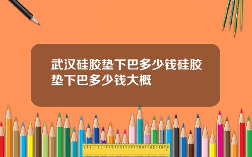 武汉硅胶垫下巴多少钱硅胶垫下巴多少钱大概