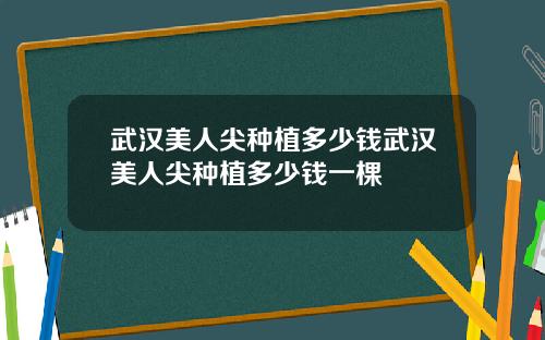 武汉美人尖种植多少钱武汉美人尖种植多少钱一棵