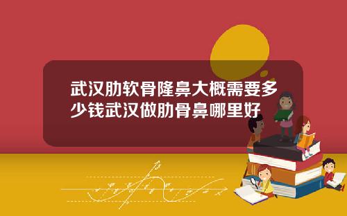 武汉肋软骨隆鼻大概需要多少钱武汉做肋骨鼻哪里好