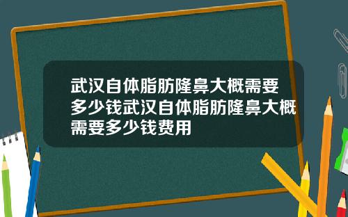 武汉自体脂肪隆鼻大概需要多少钱武汉自体脂肪隆鼻大概需要多少钱费用