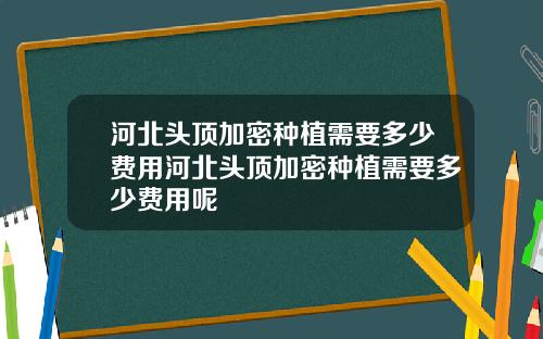 河北头顶加密种植需要多少费用河北头顶加密种植需要多少费用呢