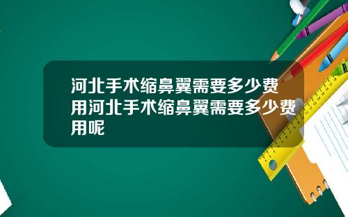 河北手术缩鼻翼需要多少费用河北手术缩鼻翼需要多少费用呢