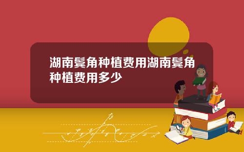 湖南鬓角种植费用湖南鬓角种植费用多少