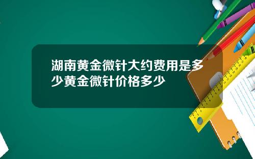 湖南黄金微针大约费用是多少黄金微针价格多少