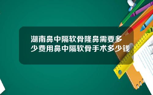 湖南鼻中隔软骨隆鼻需要多少费用鼻中隔软骨手术多少钱