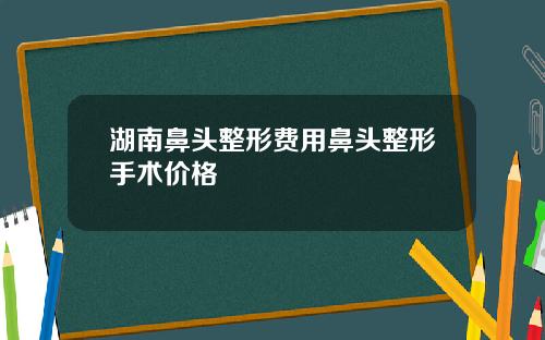 湖南鼻头整形费用鼻头整形手术价格