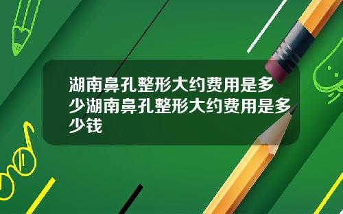 湖南鼻孔整形大约费用是多少湖南鼻孔整形大约费用是多少钱