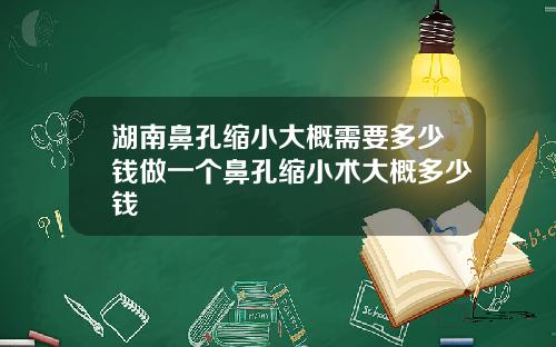 湖南鼻孔缩小大概需要多少钱做一个鼻孔缩小术大概多少钱
