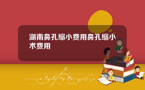 湖南鼻孔缩小费用鼻孔缩小术费用