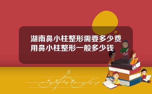 湖南鼻小柱整形需要多少费用鼻小柱整形一般多少钱