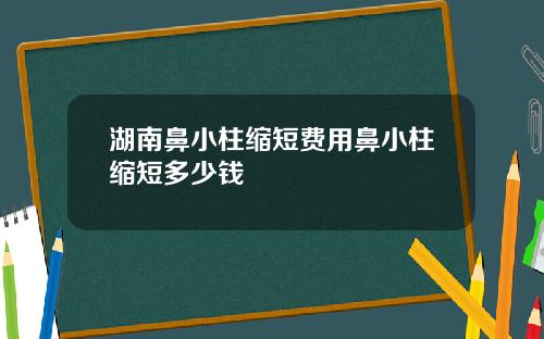 湖南鼻小柱缩短费用鼻小柱缩短多少钱