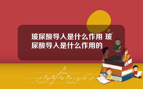 玻尿酸导入是什么作用 玻尿酸导入是什么作用的