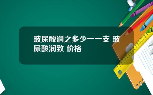 玻尿酸润之多少一一支 玻尿酸润致 价格