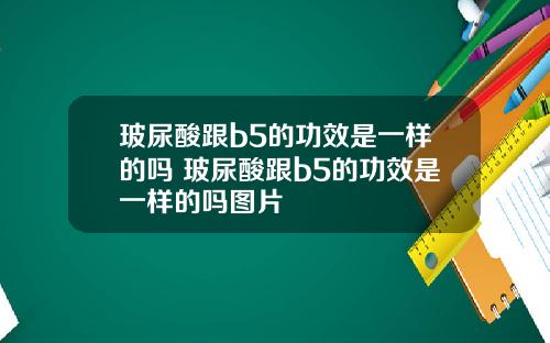 玻尿酸跟b5的功效是一样的吗 玻尿酸跟b5的功效是一样的吗图片