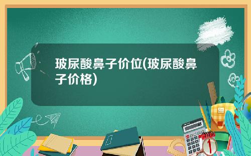 玻尿酸鼻子价位(玻尿酸鼻子价格)