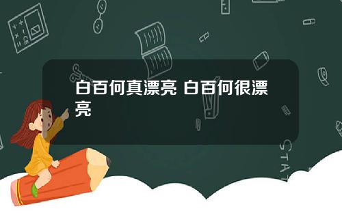 白百何真漂亮 白百何很漂亮