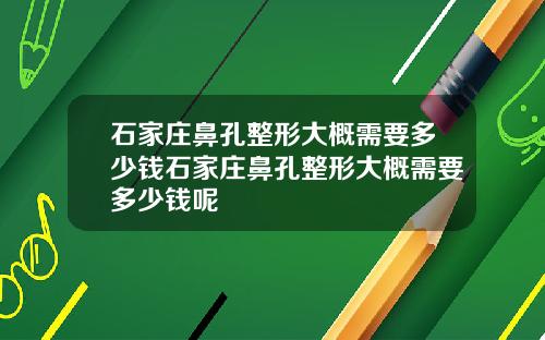 石家庄鼻孔整形大概需要多少钱石家庄鼻孔整形大概需要多少钱呢