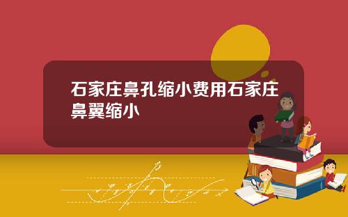 石家庄鼻孔缩小费用石家庄鼻翼缩小