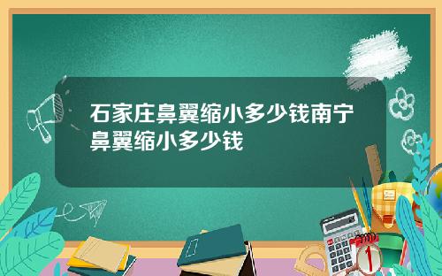 石家庄鼻翼缩小多少钱南宁鼻翼缩小多少钱