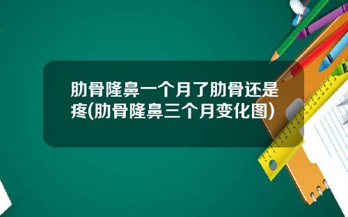 肋骨隆鼻一个月了肋骨还是疼(肋骨隆鼻三个月变化图)