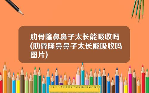 肋骨隆鼻鼻子太长能吸收吗(肋骨隆鼻鼻子太长能吸收吗图片)