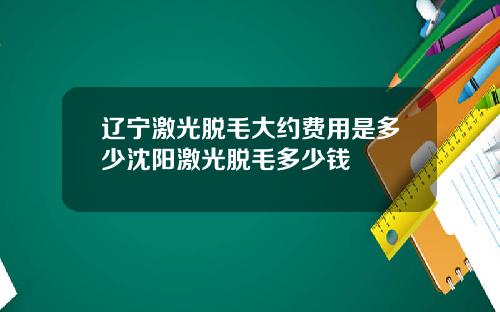 辽宁激光脱毛大约费用是多少沈阳激光脱毛多少钱