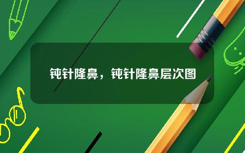 钝针隆鼻，钝针隆鼻层次图