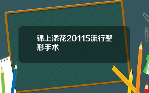 锦上添花20115流行整形手术