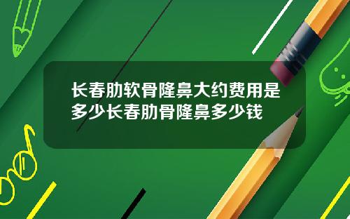长春肋软骨隆鼻大约费用是多少长春肋骨隆鼻多少钱