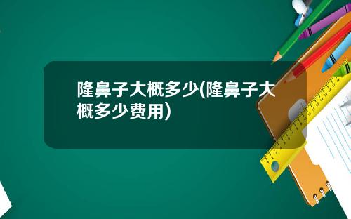 隆鼻子大概多少(隆鼻子大概多少费用)