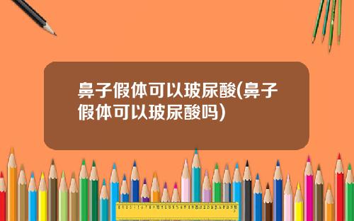 鼻子假体可以玻尿酸(鼻子假体可以玻尿酸吗)
