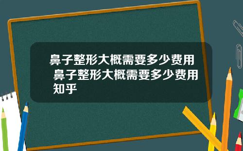 鼻子整形大概需要多少费用 鼻子整形大概需要多少费用 知乎