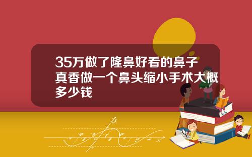 35万做了隆鼻好看的鼻子真香做一个鼻头缩小手术大概多少钱