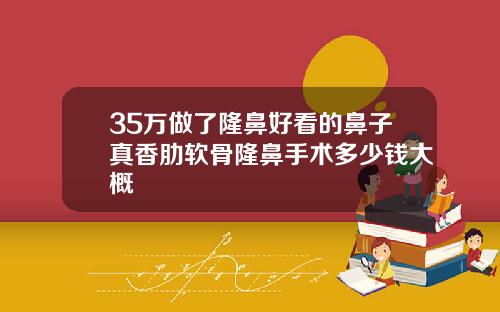 35万做了隆鼻好看的鼻子真香肋软骨隆鼻手术多少钱大概