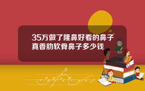 35万做了隆鼻好看的鼻子真香肋软骨鼻子多少钱
