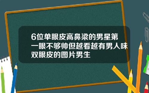 6位单眼皮高鼻梁的男星第一眼不够帅但越看越有男人味双眼皮的图片男生